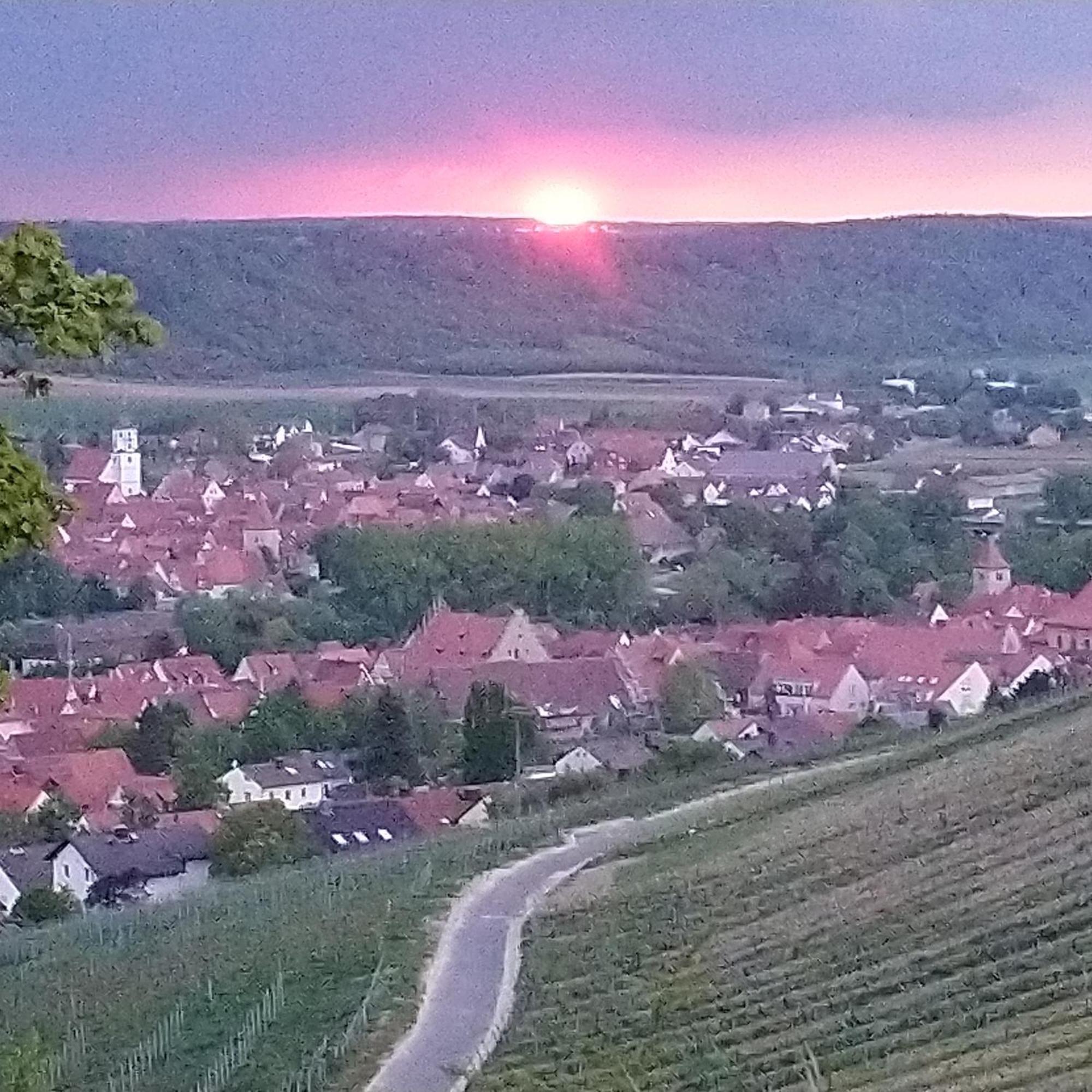 Kirschberghof Gaestehaus Und Weinverkauf Sommerhausen Bagian luar foto