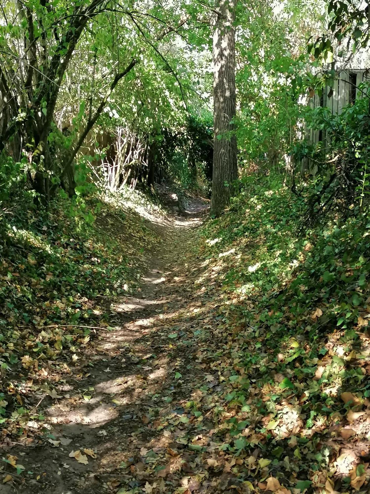 Kirschberghof Gaestehaus Und Weinverkauf Sommerhausen Bagian luar foto