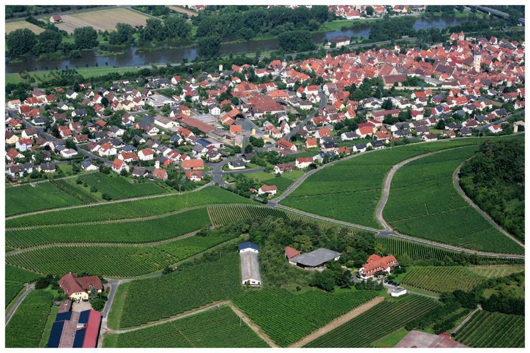 Kirschberghof Gaestehaus Und Weinverkauf Sommerhausen Bagian luar foto